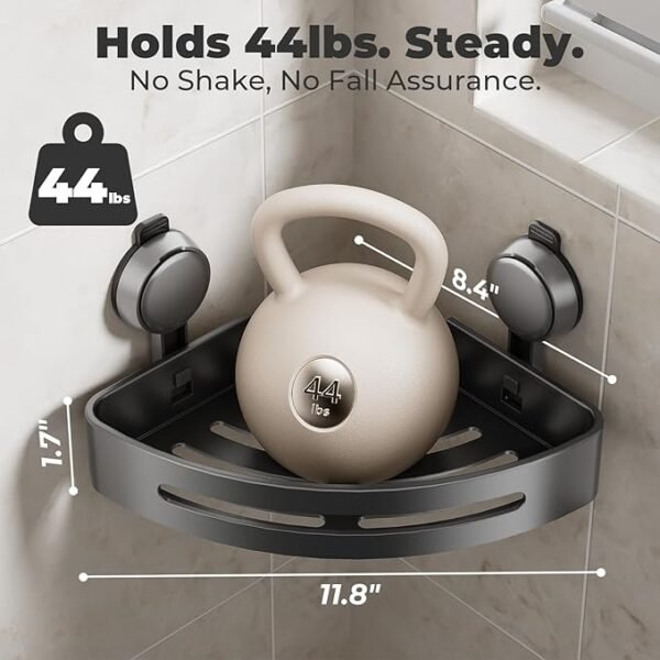 2 Organizues Banjoje