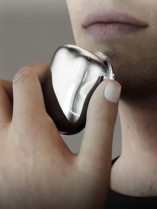 Brisk elektrik portativ