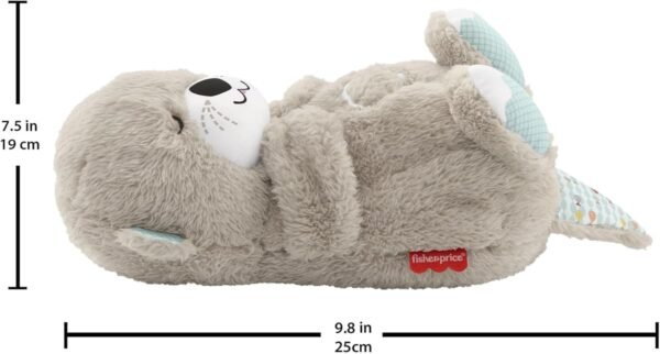 Loder pellushi me muzik