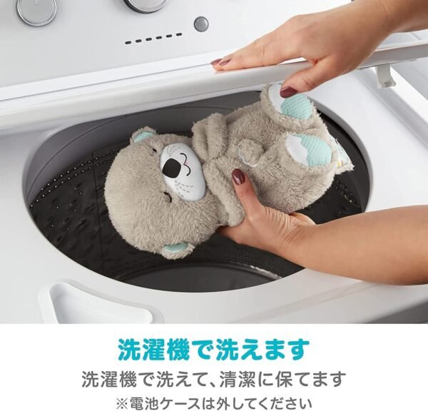 Loder pellushi me muzik